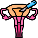 Laparoscopic / Open Hysterectomy