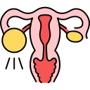 Laparoscopic / Open Ovarian Cystectomy