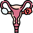 Ovarian Tumors