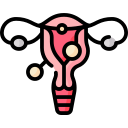 Uterine Fibroid